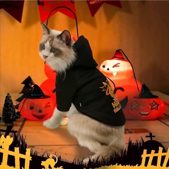 Dogs Cats Halloween Pumpkin Hoodie Sweater Size L NWT - Picture 3 of 6